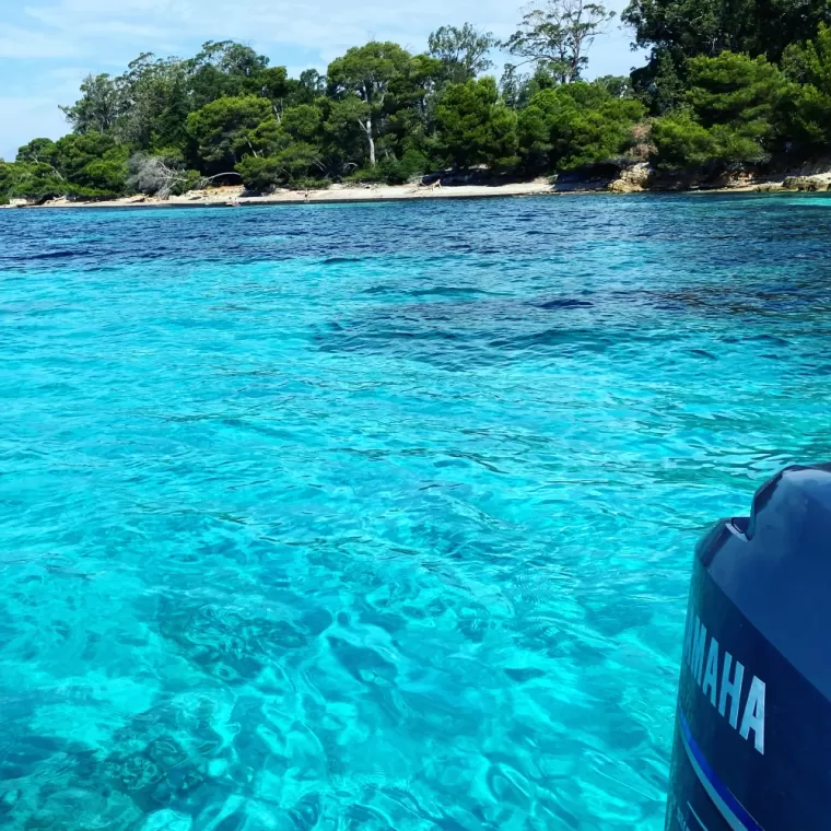 Une sortie entre les Iles de Lérins